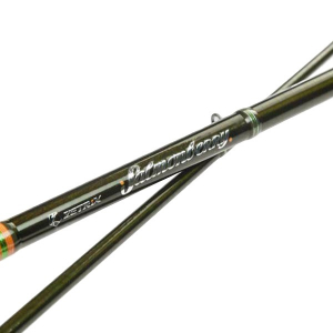 Спиннинг Zetrix Salmonberry SBS-862MH 2.59м 6-30гр