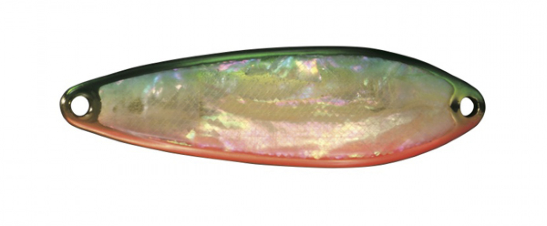 Baitis shell 04.jpg