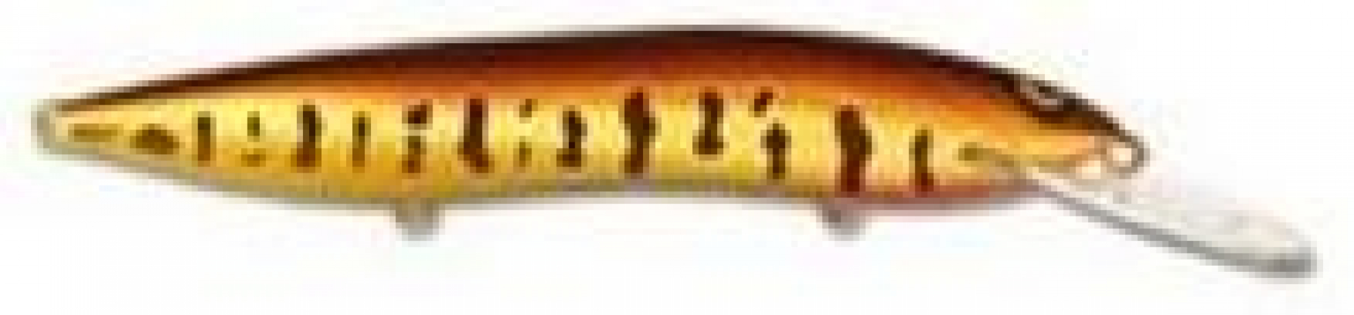 r31_thm.jpg